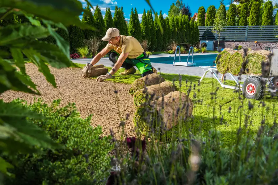 Professional Landscape Maintenance