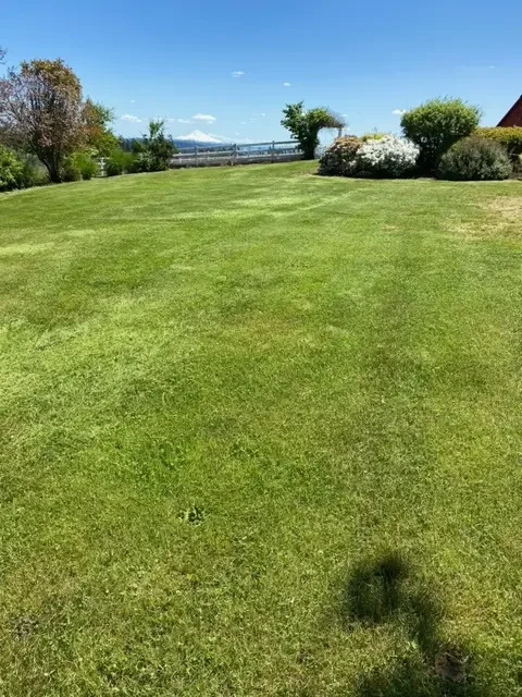 Grass Cutting