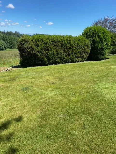 Landscape Maintenance